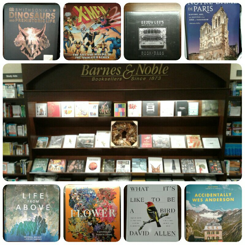 BNFreehold's tweet photo. Coffee table books can lead to many interesting conversations. #BN12daysofchristmas #bnholiday #myweekendisbooked https://t.co/VcSvBcLRuQ