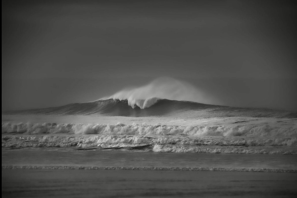 thisdevon tweet media