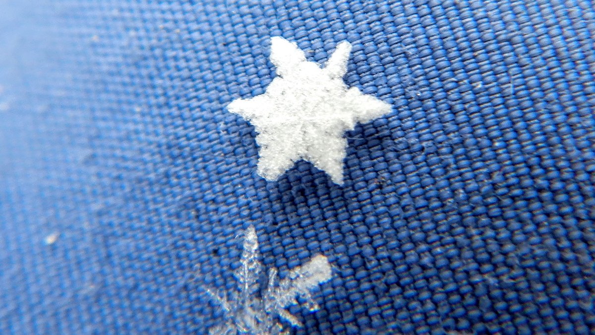 JoeWalewski's tweet photo. Part of learning outdoors requires that we slow down  and NOTICE patterns around us. Encourage students to slow down and NOTICE on their coats and mittens. #TeachOutdoorsMinnesota https://t.co/mCXN8e60IO https://t.co/FRP5sGsmzu
