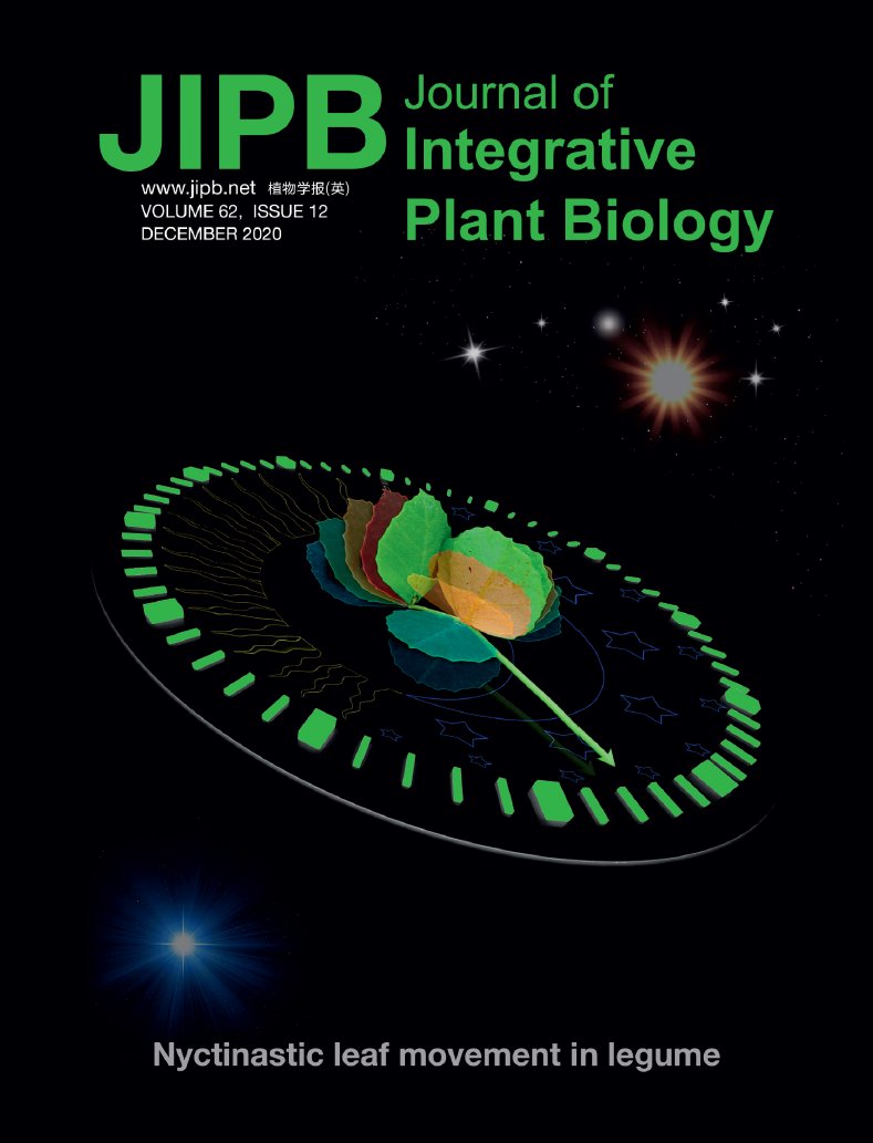 JIPBio's tweet photo. There's no⏱️time⏱️to waste...especially with this fantastic new #JIPB cover to show off! Featuring the Kong et. al. paper, "The nodulation and nyctinastic leaf movement is orchestrated by clock gene LHY in Medicago truncatula." https://t.co/aVaUvH57VK #ClockGene #LeafMovement https://t.co/GylWG0w0gA
