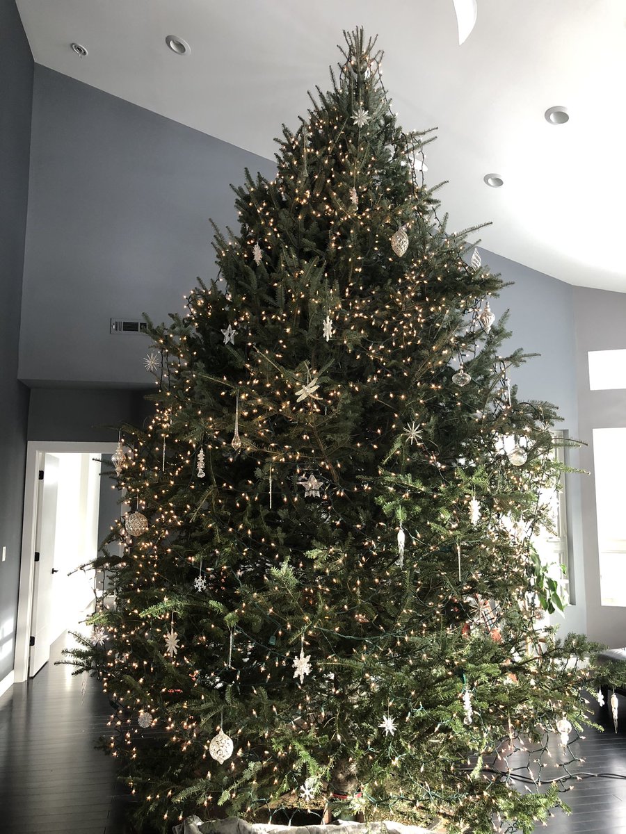 LizavanWilgen's tweet photo. Merry Christmas #ByeBye2020 https://t.co/cZw7Th6iHr