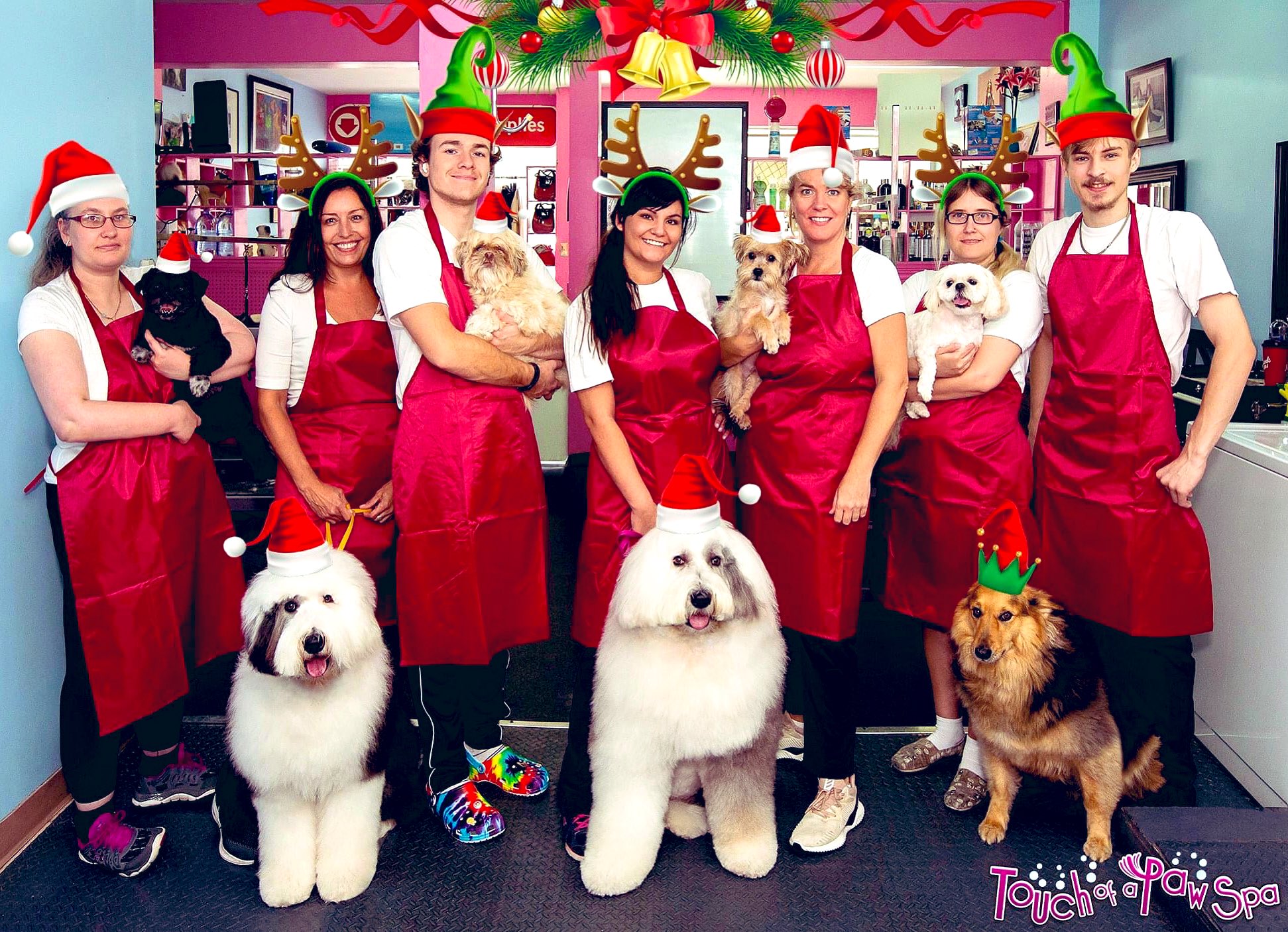Touch of a Paw Spa Touchofapawspa X