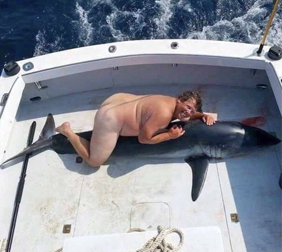 uncannyworm tweet media