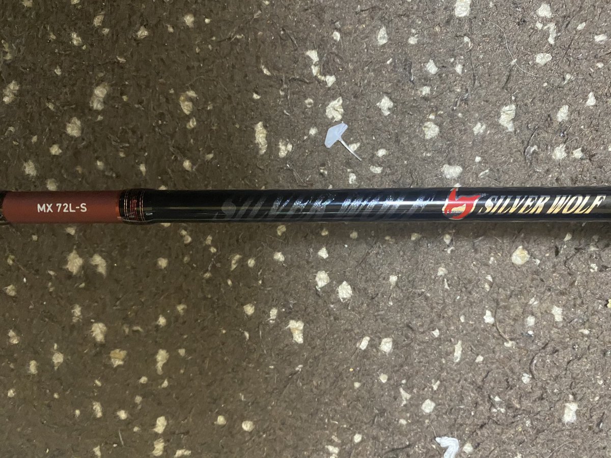 roushi2018's tweet photo. 去年購入、忘れていた竿を見つけました(⌒-⌒; )

#Daiwa
#シルバーウルフMX
#72L-S

適合ラインがナイロンの場合、2-8lbなので、

#Daiwa
#EXIST
#LT4000-CXH
が8lbのナイロンラインをまいているので、このリールでいきます！

#チニング https://t.co/bC9iCe9PWt