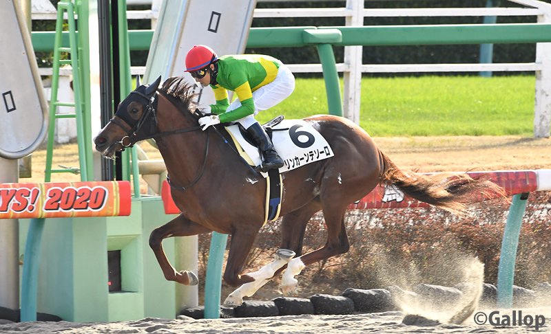 リンカーン 競馬