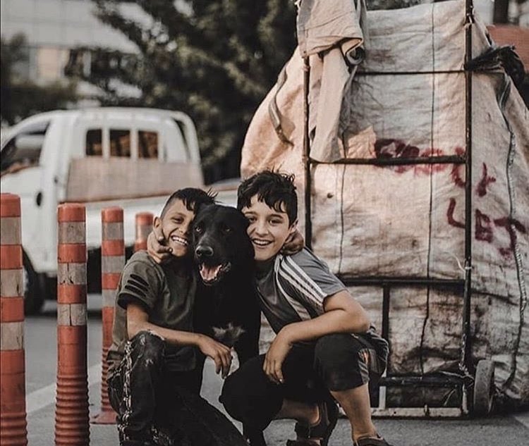 Demir (@kursaatdemir) on Twitter photo 