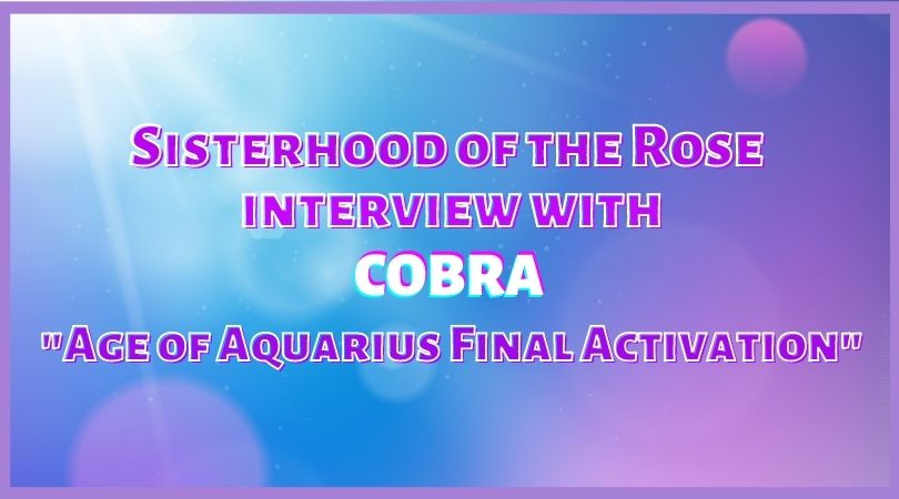 Sisterhood of the Rose tweet media