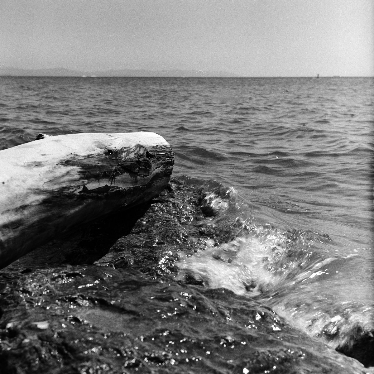 Rivage.

#photo #photographie #photography #photodujour #pictureoftheday #argrntique #argentic #film #filmisnotdead #noiretblanc #nb #bw #blackandwhite #noiretblancphoto #blackandwhitephotography #rollei #rolleiflex #rolleiflex35F #analogique #analogic