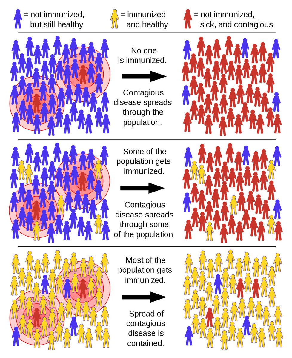 This graphic really helps explain why vaccination is our preferred path to herd immunity—and just what that means.