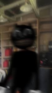 cartoon cat tweet media