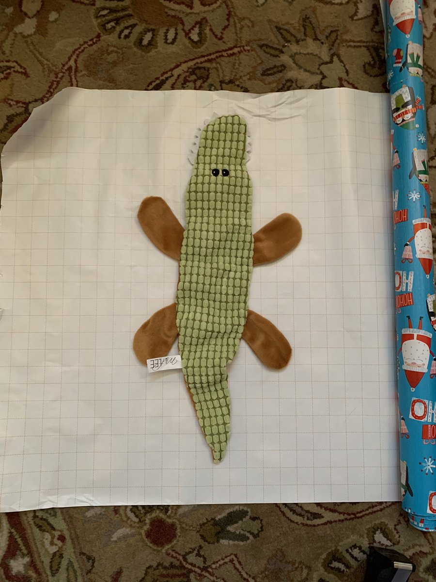 Grace Haugh tweet media