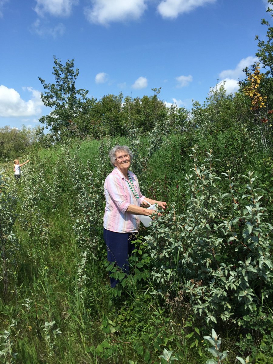 She lived to 96 yet it still felt like a shock b/c she was so vibrant well into her 90s. She insisted she was never old enough to be called Baba or to go to seniors events in town. In the last couple yrs Alzheimer’s slowed her down but it hadn't yet taken away her wonderful self.