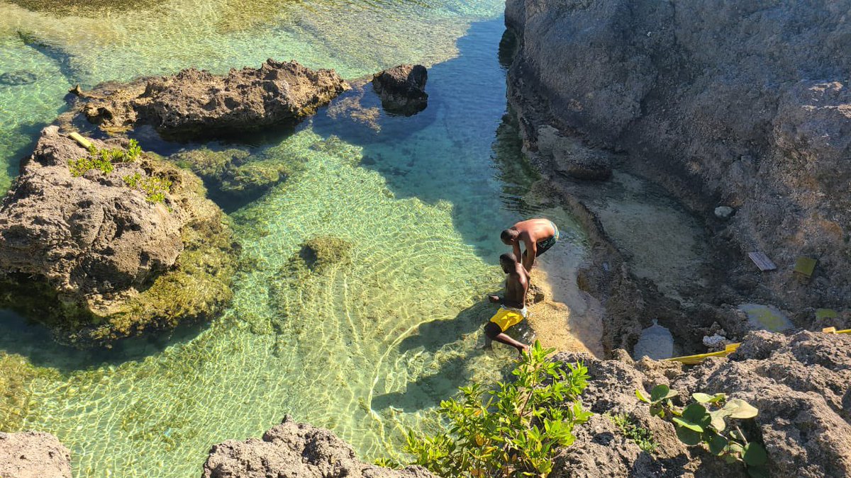 jvmi5's tweet photo. Definitely a recommended destination

Turtle Bay beach, Portland 🌴 🌴 https://t.co/mUmMqCM32n