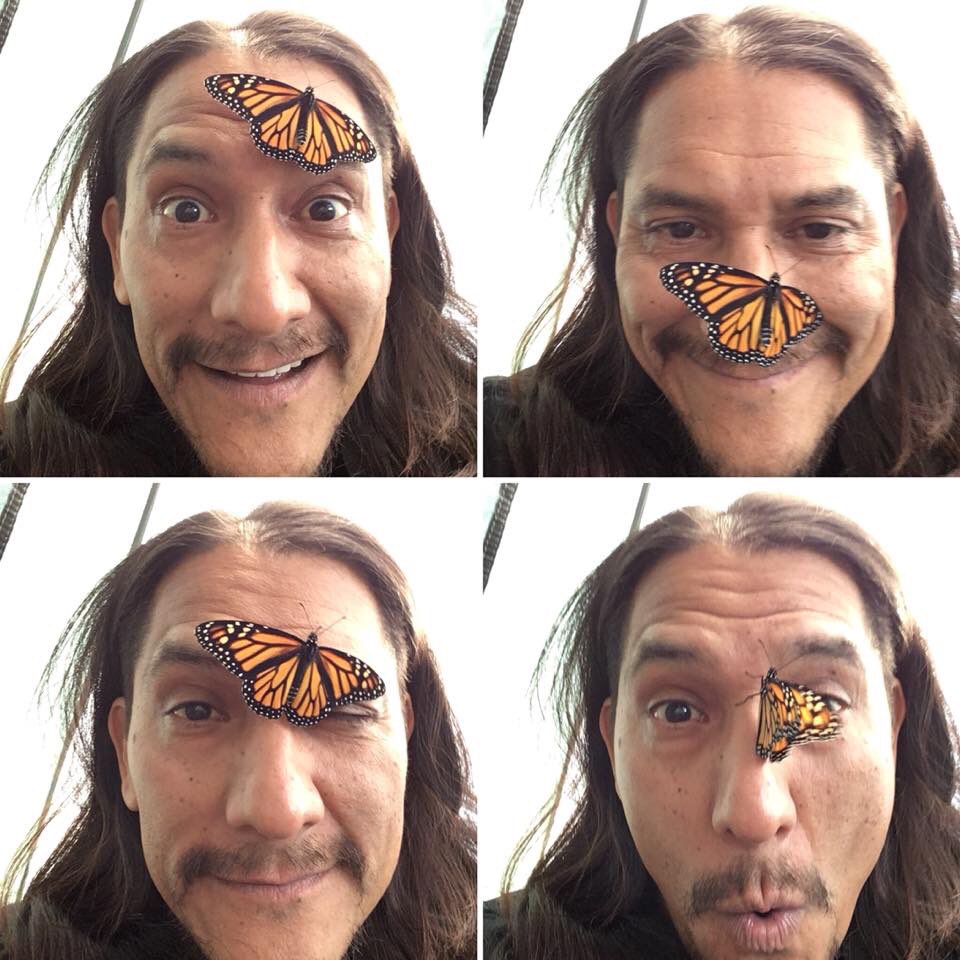 Sergio_concolor's tweet photo. Dec. 18 is our day! 
#InternationalMigrantsDay #DiaInternacionalDelMigrante 🦋🦇✊🏾
.
#monarchbutterfly #iamamigrant #migrationisnatural #naturehasnoborders #tsiyeel https://t.co/M0MCS44L9I