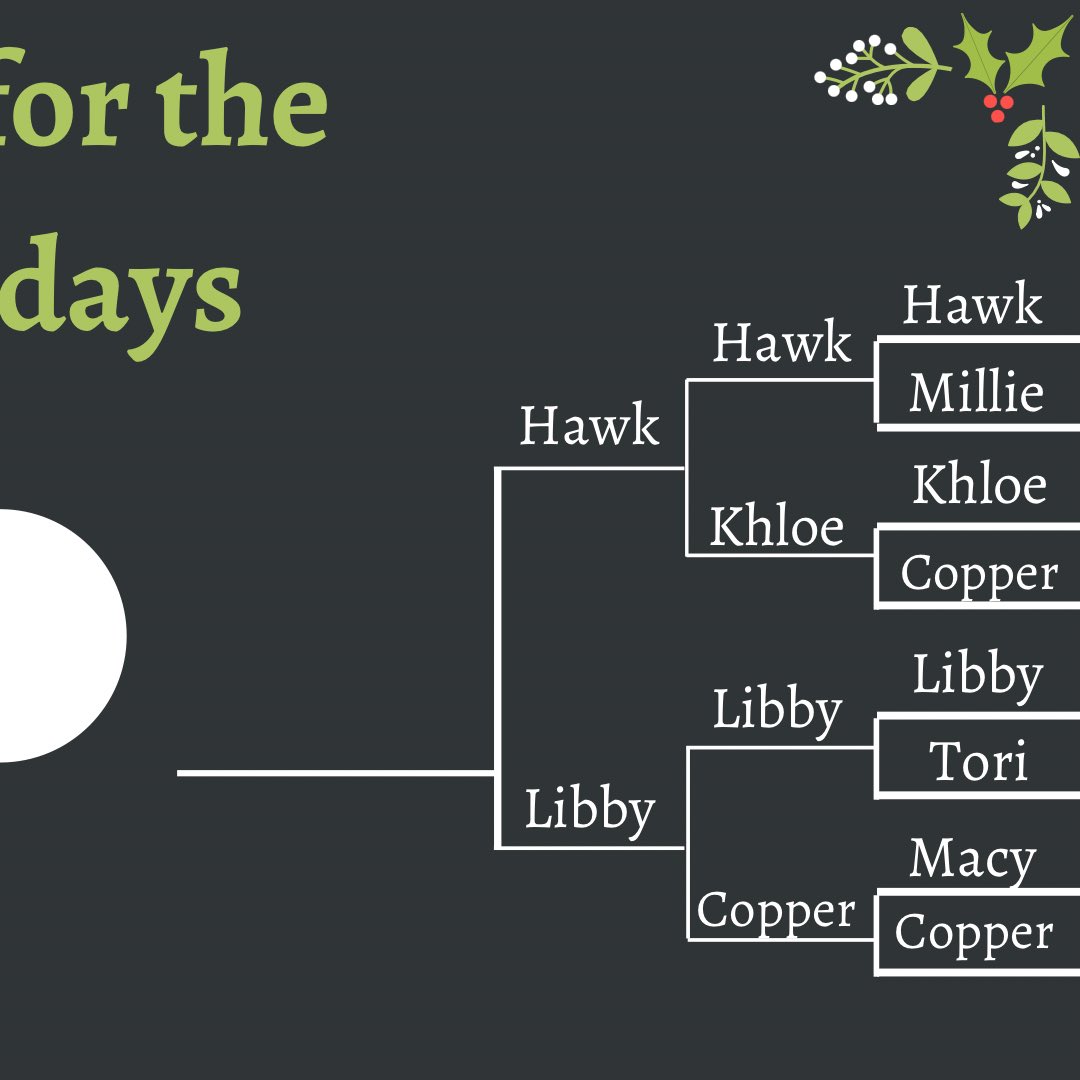 ville_relay's tweet photo. Round 2 Results are in!! ♥️❄️🐶 https://t.co/3zdgjdJPQA