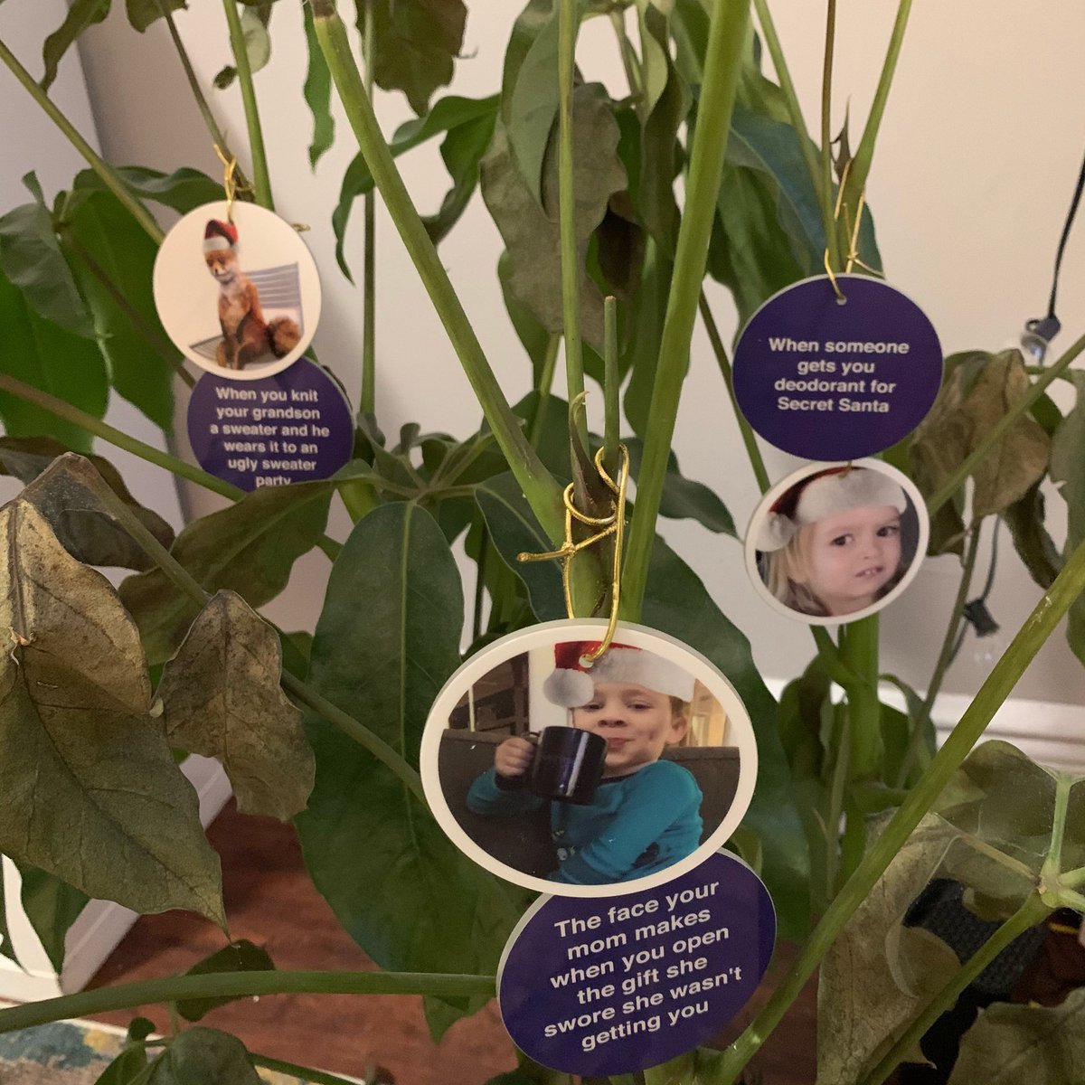 craigheyne's tweet photo. I’m using my dying plant as a Christmas tree this year and decorating it with meme ornaments 😂 https://t.co/ritfTStMp4