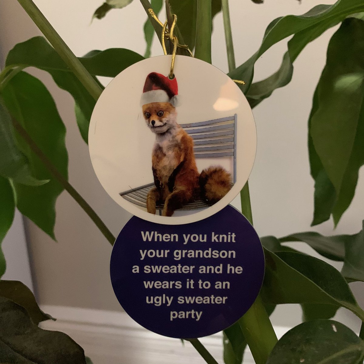 craigheyne's tweet photo. I’m using my dying plant as a Christmas tree this year and decorating it with meme ornaments 😂 https://t.co/ritfTStMp4