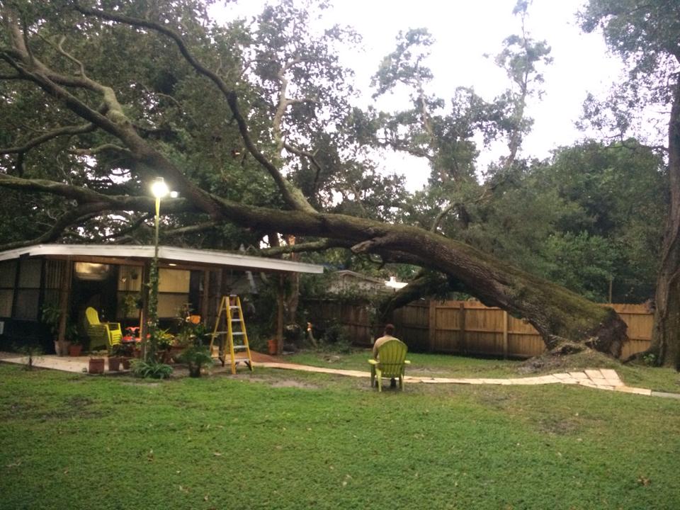 A Tampa area resident sat back and watched Miller &amp; Sons Tree Service remove a massive tree off of his roof after a storm.
#treeremoval #tampa #florida #emergencytreeremoval