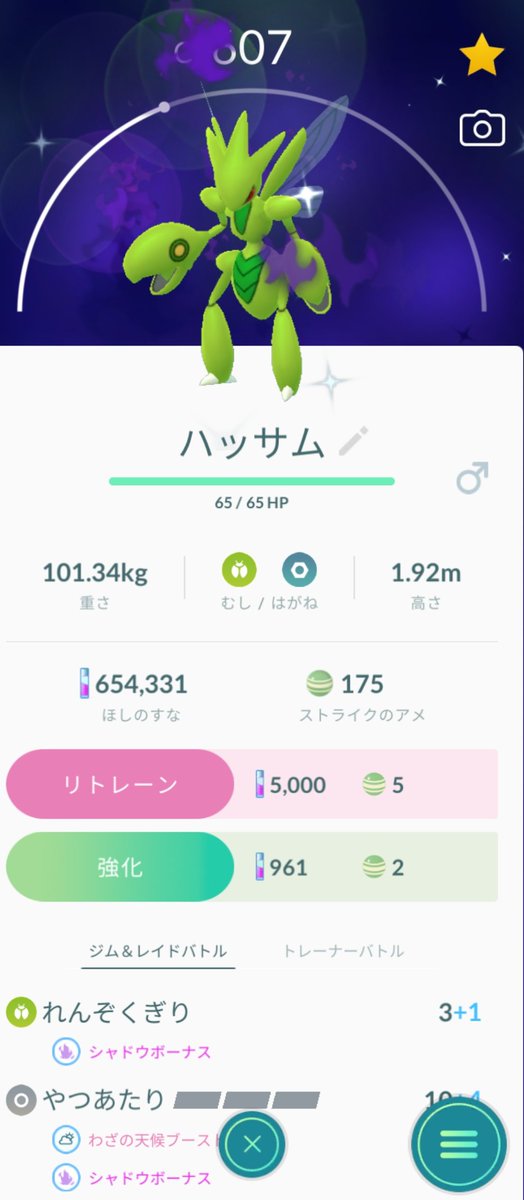 シャドウハッサム シャドウハッサム