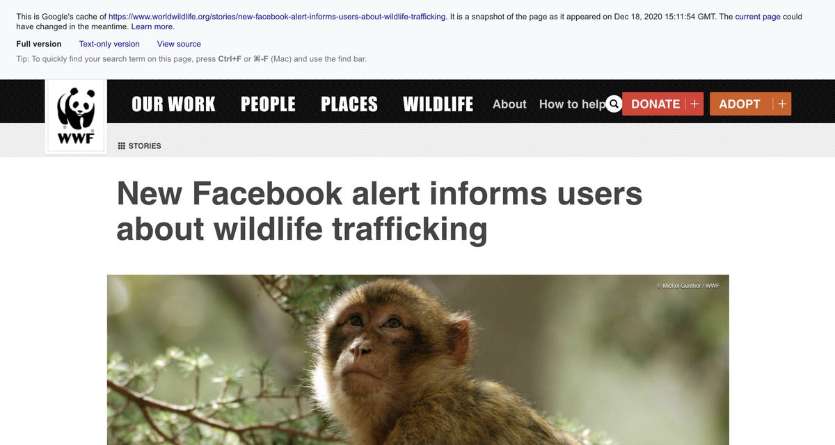 But a click on the article leads to a broken link. Why was it removed?It’s ok! Google cache saved the text. It makes clear that rather than fix its wildlife trafficking problem, Facebook was using  @WWF to push corporate PR ahead of the  @natgeo piece.  https://webcache.googleusercontent.com/search?q=cache:sOBSVmGyODAJ:https://www.worldwildlife.org/stories/new-facebook-alert-informs-users-about-wildlife-trafficking+&cd=1&hl=en&ct=clnk&gl=us