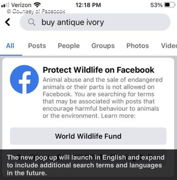 Images in the  @WWF press release are labeled "courtesy of Facebook,” an indicator FB used a wildlife org to plant a positive story.Running the searches on Facebook bring up no such alert (yet)—even though FB joined the coalition to end wildlife trafficking nearly 3 years ago...
