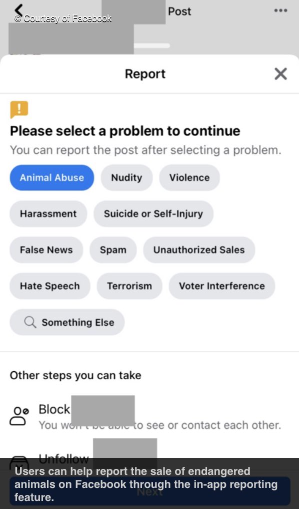 Images in the  @WWF press release are labeled "courtesy of Facebook,” an indicator FB used a wildlife org to plant a positive story.Running the searches on Facebook bring up no such alert (yet)—even though FB joined the coalition to end wildlife trafficking nearly 3 years ago...