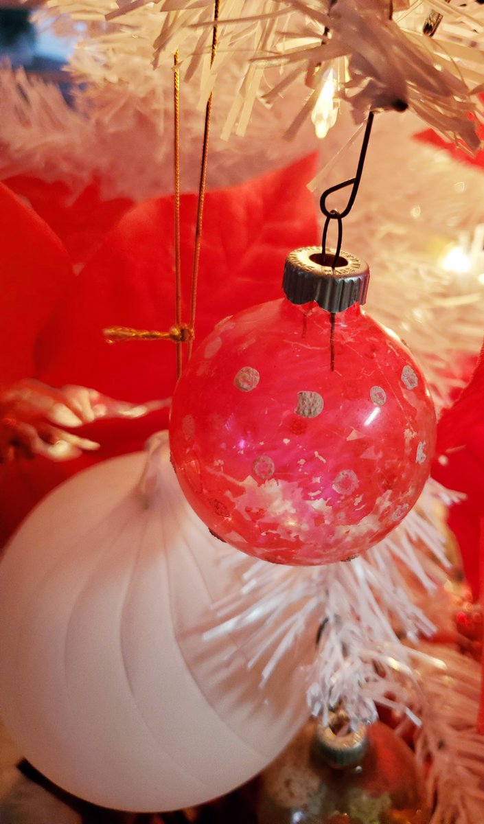 Belinda McRae Miss B tweet media