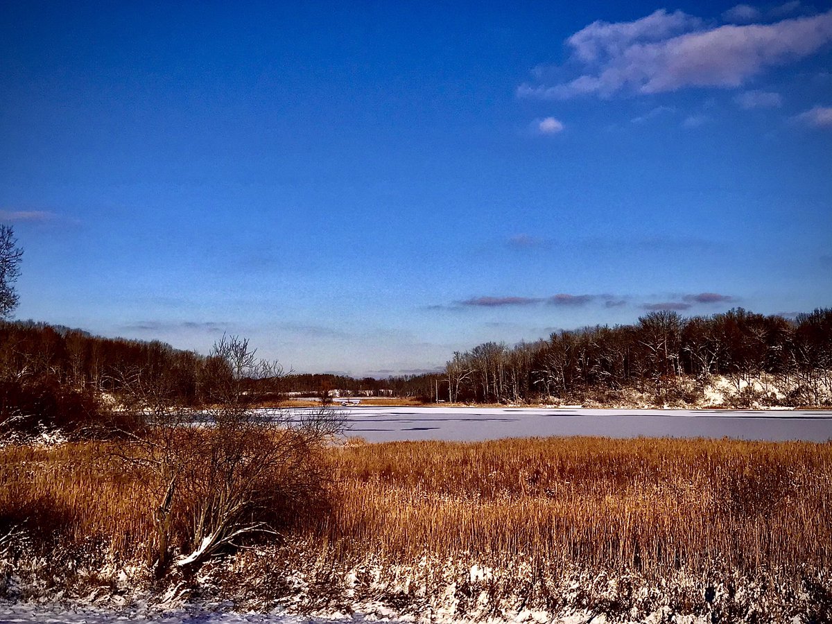 E2Running's tweet image. Beauty has always been in the eye of the beholder. But that’s just part of it. We choose whether we see the beauty or not, so we choose whether the world is beautiful or not. Choose beauty ❤️
@runinrabbit #radrabbit #borntorunfree #running #runningmotivation #run #spreadlove