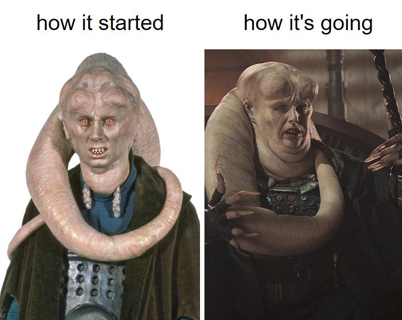bib fortuna