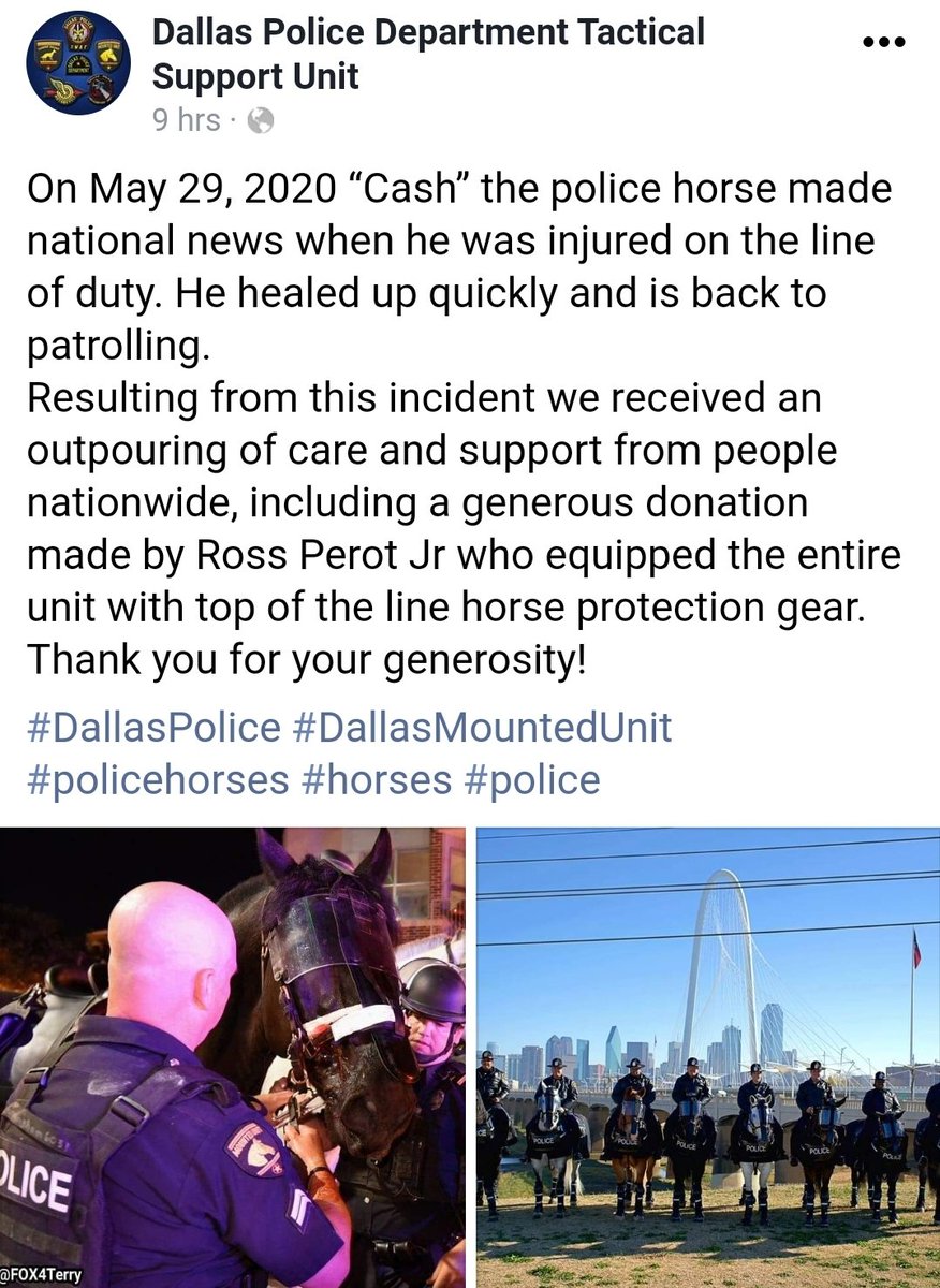 FOX4Terry's tweet photo. #Dallas police horses to get new protective gear. DPD horse Cash was injured by a rock thrown during the downtown riots in May. Cash is back on patrol while Alejandro Delgado who is accused of injuring the horse awaits trial. https://t.co/TB04fFm4Lz