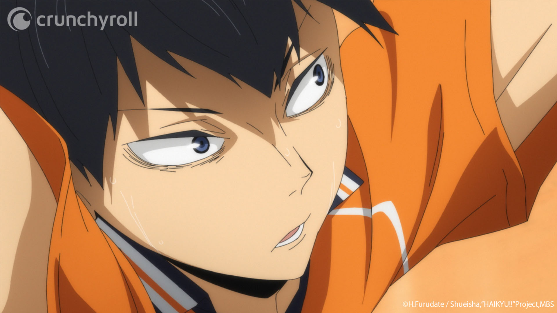 HAIKYU‼ TO THE TOP on X: Tobio Kageyama Year: 1st Year Position