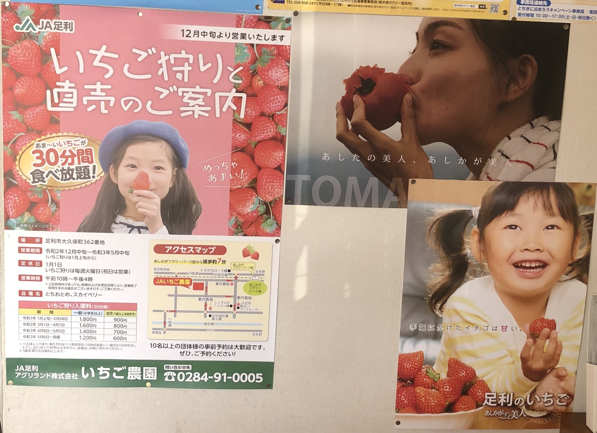 足利市観光協会 Ja足利様から頂いたポスターを掲示しております トマトのポスターは刺激的 イチゴはかわいい 足利市観光協会 Ja足利様から頂いたポスターを掲示しております トマトのポスターは刺激的 イチゴはかわいい
