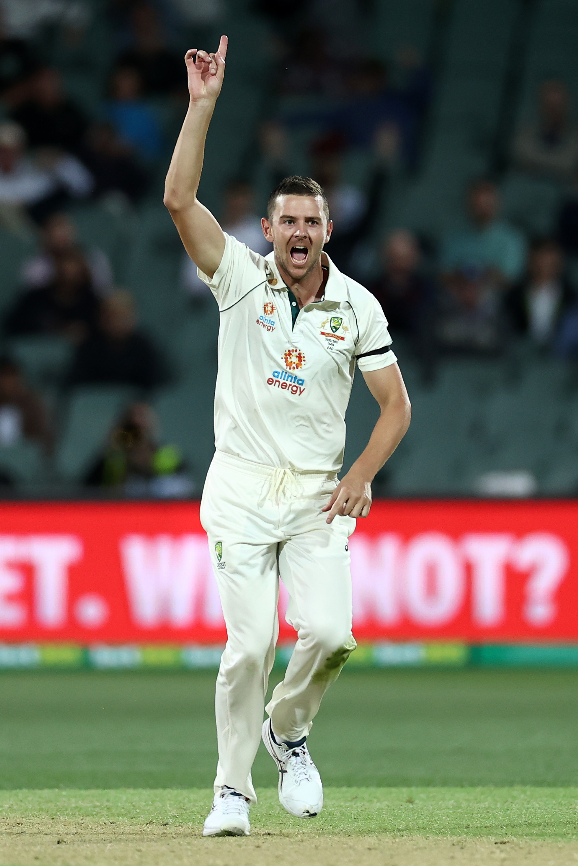 IND vs AUS 1st Test Adelaide 2020: India scored the lowest Test total ever 36/9 as Josh Hazlewood and Patt Cummins dominated India's side.