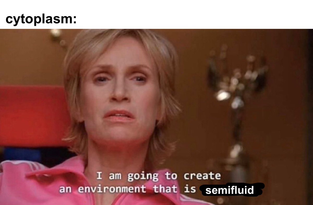 minivminie's tweet image. my teacher gave us an assignment to make memes about the cell ..