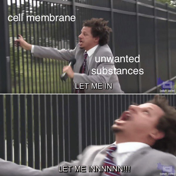 minivminie's tweet image. my teacher gave us an assignment to make memes about the cell ..