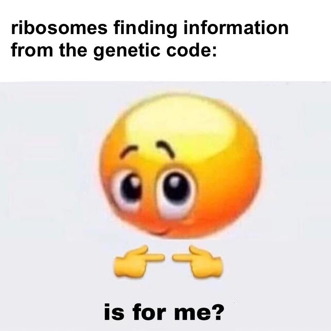 minivminie's tweet image. my teacher gave us an assignment to make memes about the cell ..