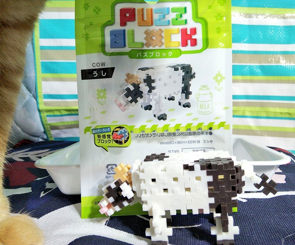 まめぼん ふじいなみえ No Twitter キャンドゥで見つけたこの パズブロック なかなかにパズブロックで面白い ただの がいっぱいと思いきや 辛 キ こんな感じで ブロックの種類も豊富で 立体のパズルだった