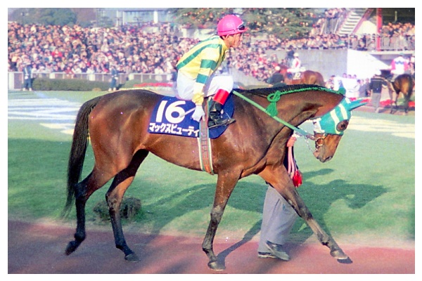 マックスビューティ #田原成貴 #古いアルバム 87有馬記念 昭和の競馬