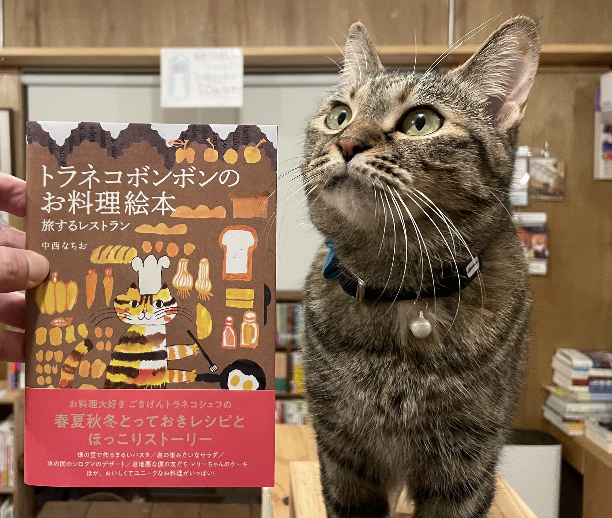 キャッツミャウブックス トラネコボンボンのお料理絵本 旅するレストラン はハンディなサイズで 猫好き 絵本好き 料理好き 食べる専門含む の誰もがもらって嬉しくなる一冊 空気は乾燥気味ですが 本日も14 00 19 30頃の営業です