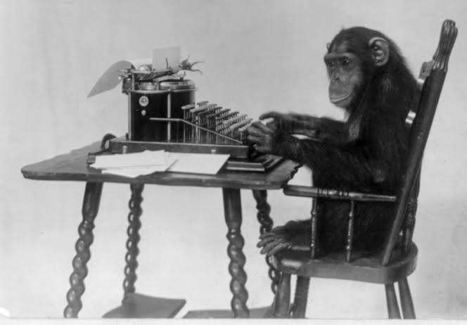 igrrdr's tweet image. Eu sou um macaco mesmo como adivinhou?