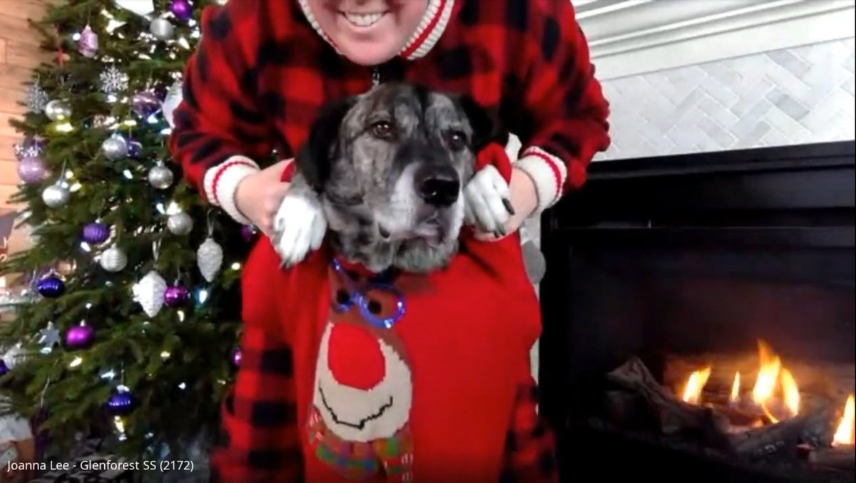 Today was the last day of classes and our class celebrated with a holiday celebration.

Music by the fire, holiday attire, a raffle, and an unhappy dog who was forced to participate.

Wishing all of my <a href="/GlenforestSS/">Glenforest SS</a> staff and students a happy holidays and a happy new year!
