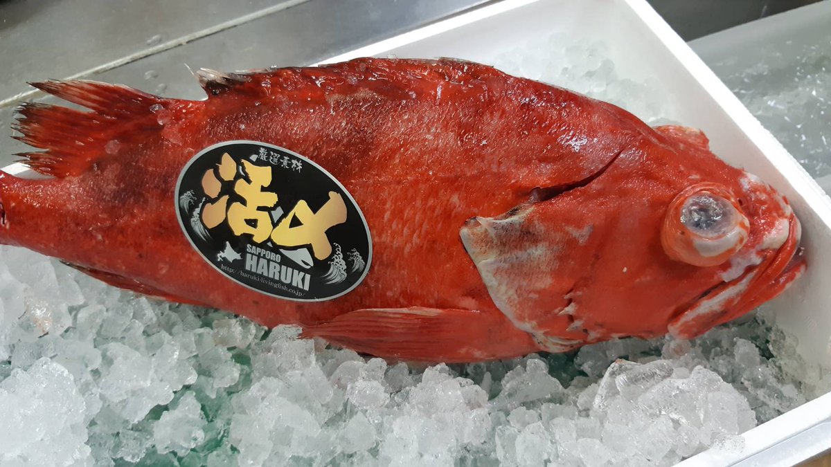 寿司季節料理 しののめ Sushi Shinonome Twitter