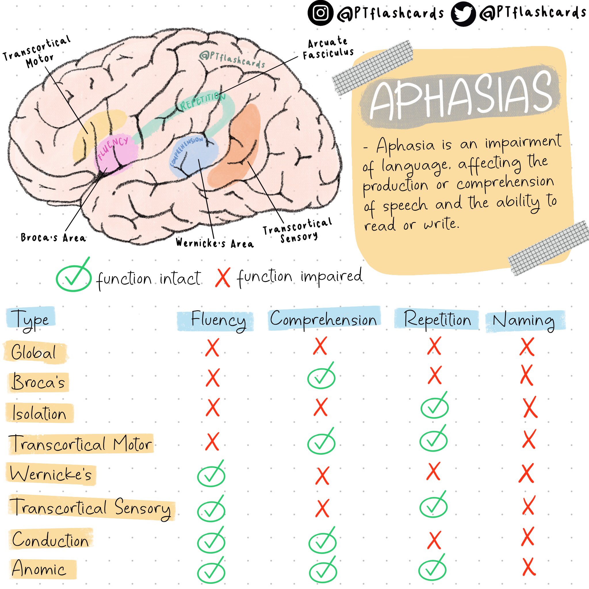 Handout Aphasia Differential Diagnosis Chart Medical SLPs, 57 OFF