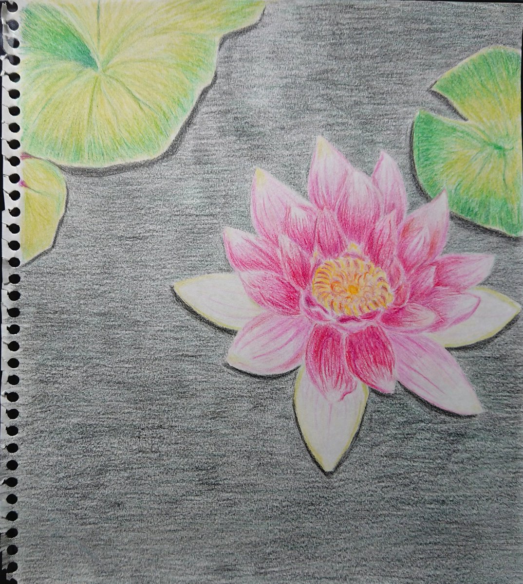 Twoucan 水蓮 の注目ツイート イラスト マンガ コスプレ モデル