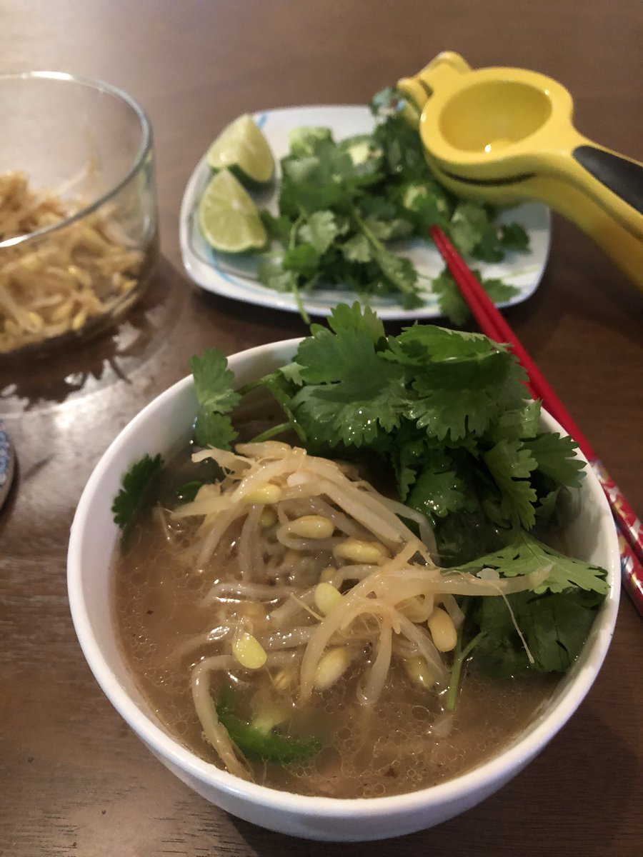 Made pho last night. And now: A thread of a few things I’ve cooked/eaten in 2020. One of the few pleasures in a bad year.