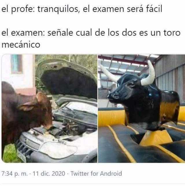 Meme Examen Toro Mecanico