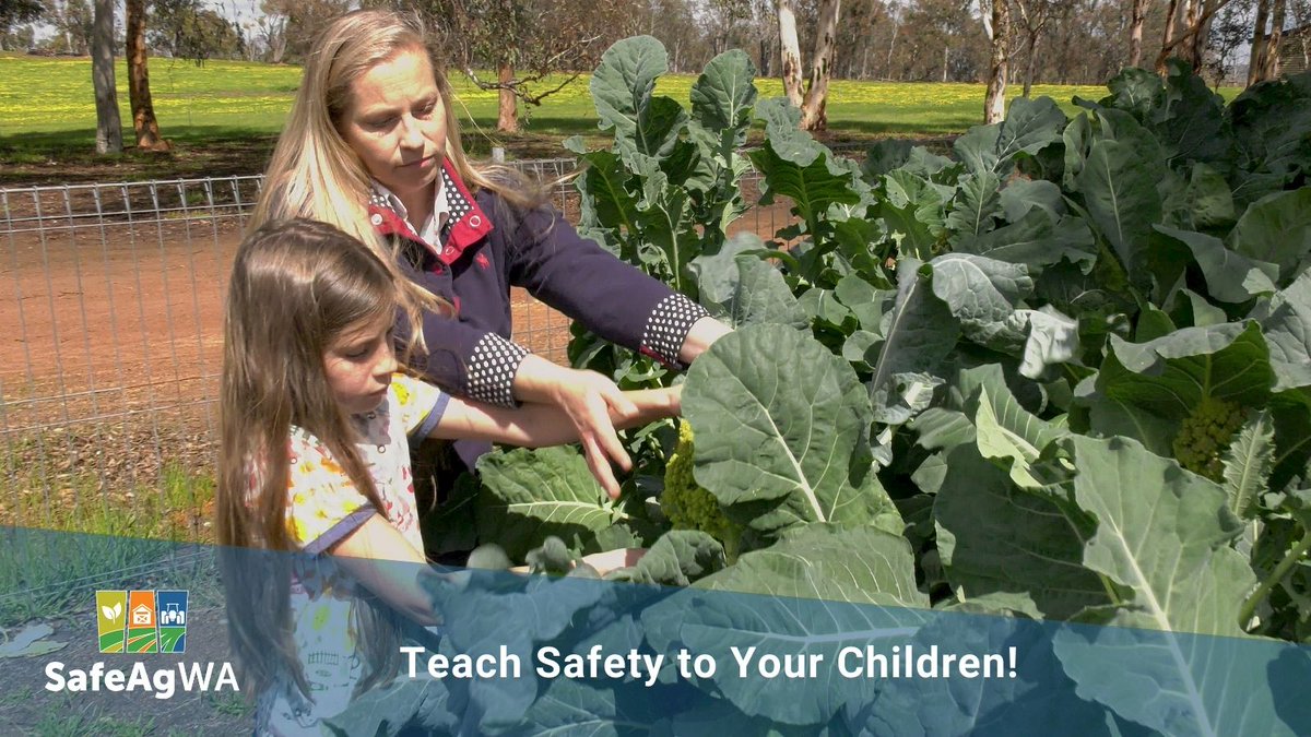 SafeAgWA's tweet photo. A great way to teach your kids about safety is to turn risk situations into a learning experience. If you encounter a risk, let them know so they can learn from it.

Visit our website for more farm safety tips https://t.co/Y6Q0k2a4MC

#safeagwa #farmingwa #agriculturewa https://t.co/EoMOVDEU5s