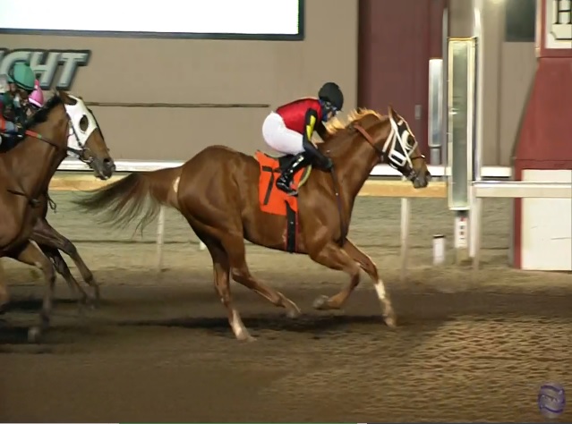 rebelsart's tweet photo. First winner tonight for Sophie Doyle @sophiedoyle77 as Drc All Inclusive wins race 7 at Remington Park @RemingtonPark for trainer Federico Villafranco and owner Allison Caldwell @missfasthorses 🏇🥇👊💥
#bellajockey #RemingtonPark #springboardmile #KYDerby @ILoveFastHorses https://t.co/z816mDgX9V
