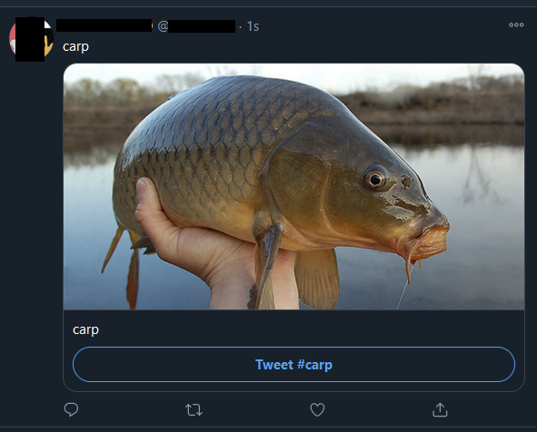 Sosowski's tweet image. New Twitter features in 2020:
❌tools to fight disinformation
❌getting rid of hate speech
✅carp