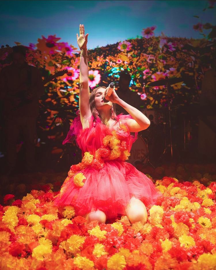 odetoglowingeye's tweet photo. Take me back to the poppy fields https://t.co/smYw96e9gl